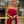 Vestido Positano Red